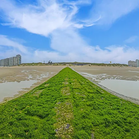 With View, Ostend , Cleaning Included Apartment